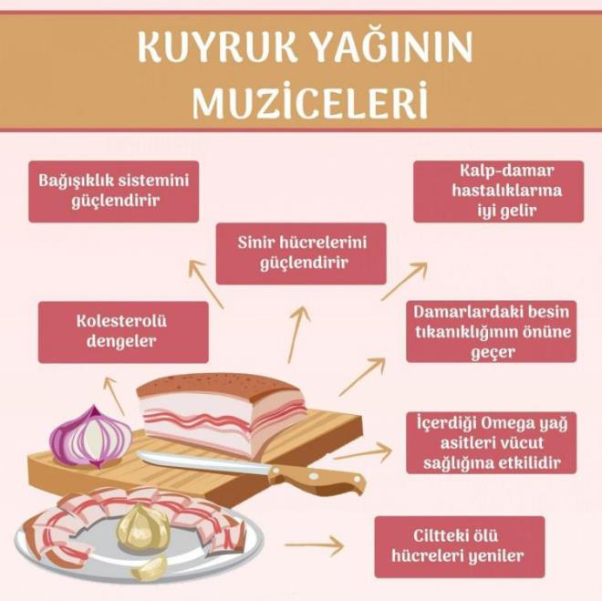 -Kas yrtlmas tedavisinde, kemik erimesine nlem amacyla kuyruk ya tketilmesi uzmanlar tarafndan tavsiye edilir.   <br>  -Kuyruk ya ayn zamanda baklk sistemini de glendirir. Kuyruk yanda bulunan omega ya asitleri vcudu zrh gibi korur, hastalklar nler. Vcudu enfeksiyonlara kar koruma altna alan kuyruk yan etli yemeklerle beraber tketebilirsiniz.