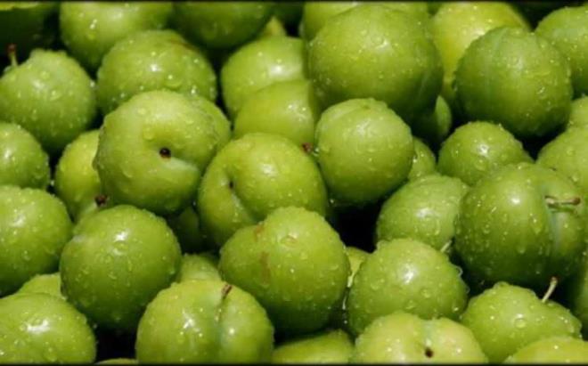 Erik kabzla kar korurken,bakln dzenli olarak almasna olanak salyor. Astm,bronit gibi hastalklara kar da koruyan erik ,kansere kar da fayda salyor.