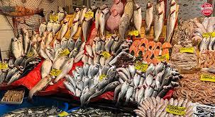 KOLEJEN YKL BESNLER<p>Balk: Somon, sardalya ve uskumru gibi yal balklar, kolajen retimini tevik eden omega-3 ya asitleri bakmndan zengindir.