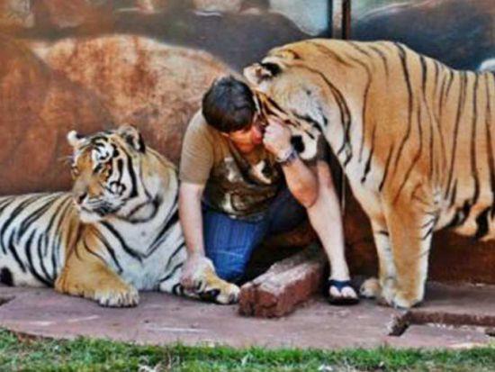 Brezilyal Ary Borges (43), evinde kzlar Nayara (20), Uyara (23) Deusanira (24) ve kk torunu Rayara ile beraber tam 7 kaplanla yayor.