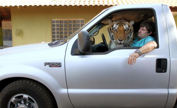 Torun Rayara da kaplanlarla iyi vakit geiriyor.