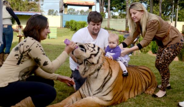7 kaplanla ayn evde yayorlar