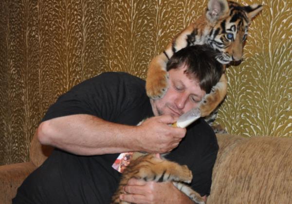 Bunun zerine Borges hem izin almak hem de kaplanlarnn rahat yaamas iin 40 hektarlk bir ekopark kurmak amacyla veteriner Livia Pereira Teixeira ile hkmete bavurmu.