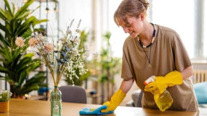 Baz ev bitkileri gz alc yapraklarnn yan sra bulunduu ortama katk salayabilir. Evin temizlii, herkesin sal iin ok nemlidir. Biriken toz ve kiri artmak baz durumlarda telaa yol aar. Yaz aylarnda younlaan bu durum, evin hzl bir ekilde tozlanmasna neden olabilir.