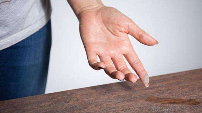  mekanlar dekore etmek iin yeillie yer vermek, harika bir grnt oluturmasnn yan sra farkl faydalar da salayabilir. Evin ierisine dolan tozu toplayan bir bitki olduunu biliyor muydunuz?<p>Bitki uzmanlarna gre evinizdeki tozu azaltmak iin son derece verimli bir bitki bulunuyor. Eve dekoratif bir duru katmann yan sra ok daha fazlasn da yapabiliyorlar. Havay temizleyen bitkiler, i mekandaki hava kalitesini artrr.