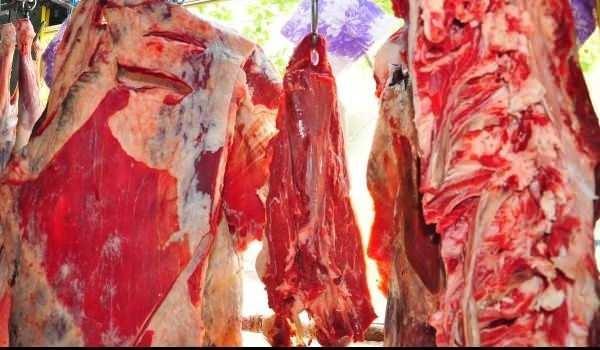 Sokakta kesilmemeli nk akan kanlar mikroba yol aabilir. Hayvan kesildikten sonra i organlarnn dikkatli ekilde kartlmas nemli. Atklar, uygun ekilde imha edilmeli. Kesildikten sonra ise hayvann 'lm sertlii' dediimiz 24 saat beklenmesi gerekiyor" diye konutu.