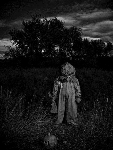 Bu fotoraflara gece ktnde bakmayn...