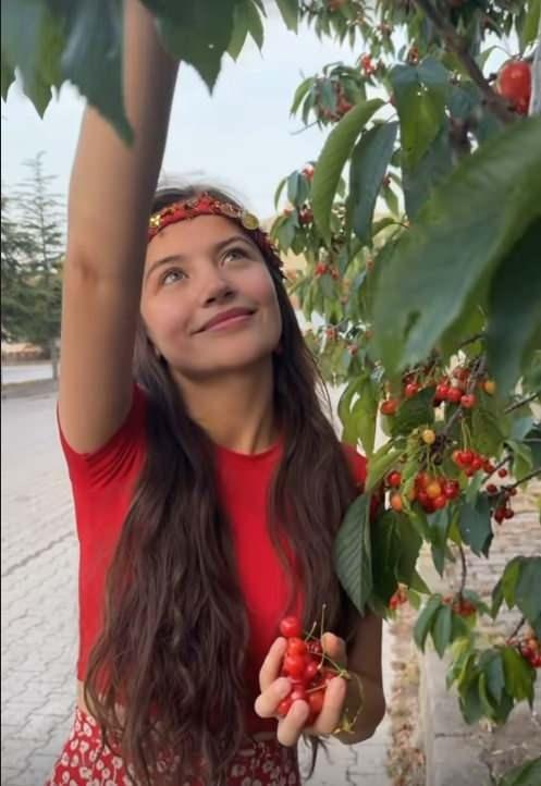 Amasya'daki ailesini ziyaret giden Yksel, kiraz aacndan meyve toplad.