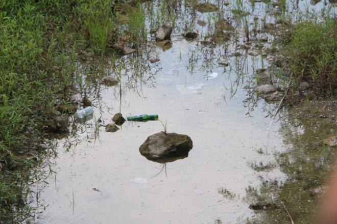 Kentin simgelerinden olan ve Tarihi Takpr'nn altndan geen Seyhan Nehri?nde Yavuzlar Kprs ve Yksek Hzl Tren hatt inas nedeniyle su ak zaman zaman durduruldu.