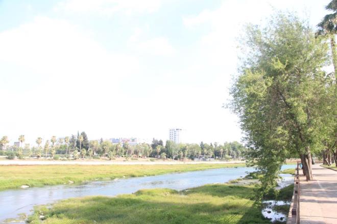 Seyhan Nehri'nin kenarna ocuklaryla piknie gelen Yunus Dmez, "Bayram tatilimiz vard. Suyun tadn karmaya altk. Ancak kirlilik var. Burada aslnda ok gzel grnt var. Balklarn olduu bir alan ancak maalesef bu grnt var. Uzak mesafede yayoruz. En ksa srede suyun braklmasn istiyoruz." dedi.