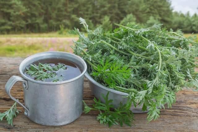 PELN OTU    Kedi veya kpek sahibiyseniz pelin otu mutlaka iinize yarayacaktr. Bu bitki hayvanlardan pireleri uzaklatrr. Ancak koku hayvanlara ar gelebileceinden fazla kullanmamaya dikkat etmekte fayda var.