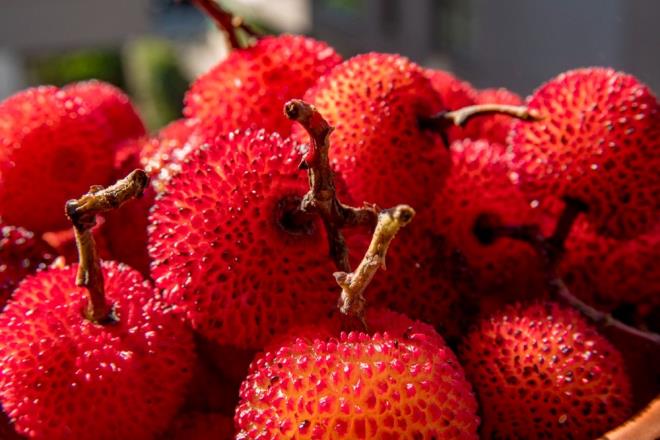 Bu, liileri zellikle kan ekeri seviyeleri dalgalanan veya hipoglisemiye yatkn kiiler iin riskli bir seim haline getirir.
