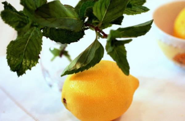 1. Tercihe gre bir veya en fazla iki tatl ka kurutulmu ve ufalanm nane ve bir bardak suya cezveye katlr. 2. Sonra gzelce ykanm bir limonun drtte biri veya en fazla yars dilimlenerek cezveye katlr.