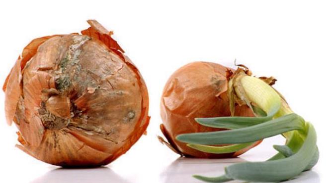 Trlerine dikkat edin<p>    Krmz, beyaz ve sar soan gibi farkl trdeki soanlar ayr ayr saklamak daha iyidir. Her soan tr, farkl hzda rme ve filizlenme zelliine sahip olabilir. Her bir soan trn ayr kaplarda veya torbalarda saklanmal.