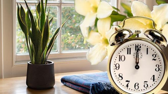 Sabah saatleri aslnda en gvenli saatlerdir. Sabahlar iekleri sulamak mantar ve hastalk olasln azaltr. Sabah sulamas, gnein topraktaki fazla nemi buharlatrmak iin bolca vakti olaca anlamna gelir.