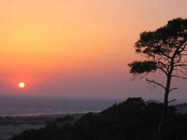 4 Patara Plaj Patara, Trkiye