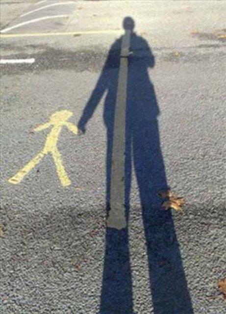 Bu fotoraflar yle ustalkla ekilmi ki dikkatle bakmayan gzlerin aldanmas iten bile deil...