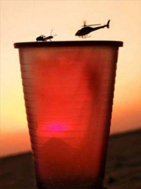 Bu fotoraflar yle ustalkla ekilmi ki dikkatle bakmayan gzlerin aldanmas iten bile deil...