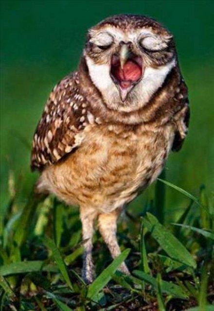 Bu fotoraflar yle ustalkla ekilmi ki dikkatle bakmayan gzlerin aldanmas iten bile deil...