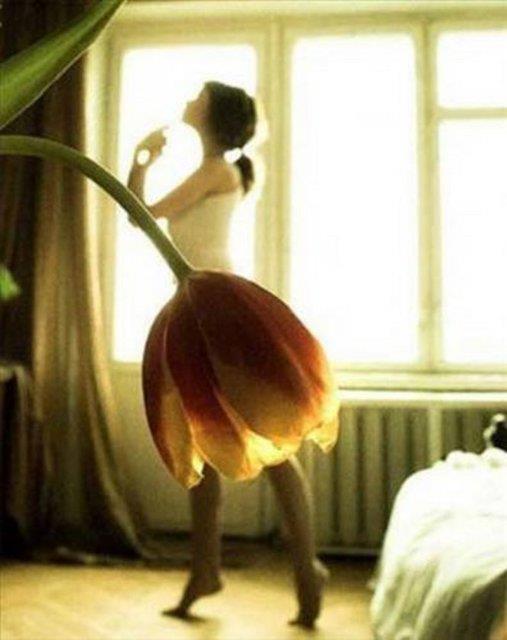 Bu fotoraflar yle ustalkla ekilmi ki dikkatle bakmayan gzlerin aldanmas iten bile deil...