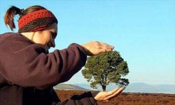 Bu fotoraflar yle ustalkla ekilmi ki dikkatle bakmayan gzlerin aldanmas iten bile deil...