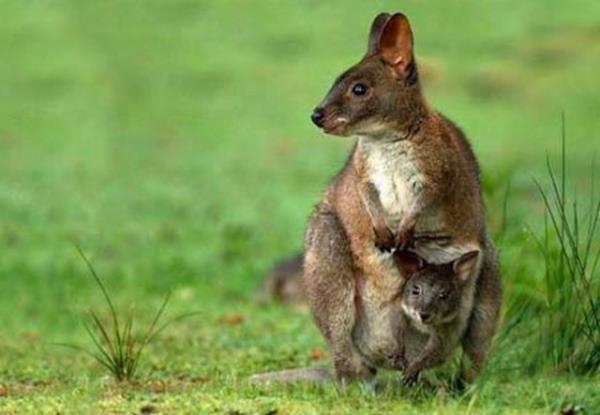 Bu fotoraflar yle ustalkla ekilmi ki dikkatle bakmayan gzlerin aldanmas iten bile deil...
