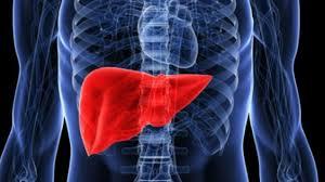 VCUTTAK LTHABI AZALTIR! Sarmsak, doal anti-inflamatuar zelliklere sahiptir. Bu zellikleri sayesinde vcutta meydana gelen iltihaplanmalar azaltr ve artrit gibi kronik iltihapl hastalklarn ynetiminde yardmc olabilir. MDE GAZINI ALIR VE BAIRSAKLARI DESTEKLER! Sindirim sistemi zerinde olumlu etkiler salar. Sindirimi kolaylatrr, mide gazn azaltr ve barsak saln destekler. Barsaklardaki yararl bakterilerin oalmasn tevik eder. DETOKS ETKS SALAR, KARACER KORUR! Sarmsak ezmesi, vcuttan toksinlerin atlmasna yardmc olan doal bir detoksifiye edicidir. Karacier fonksiyonlarn destekler ve vcudun genel detoksifikasyon srelerini iyiletirir.