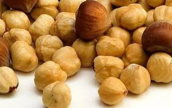 <b>Fndk</b> Yaplan aratrmalar E vitamininin zayflayan hafzaya olduka yardmc olduunu ortaya koymutur. E vitamini asndan olduka zengin olan fndk yemek de, bu nedenle beyin iin yararldr. Ayn zamanda bitkisel yalar, yerfst, ayekirdei ve buday E vitamini asndan zengin besinlerdir.