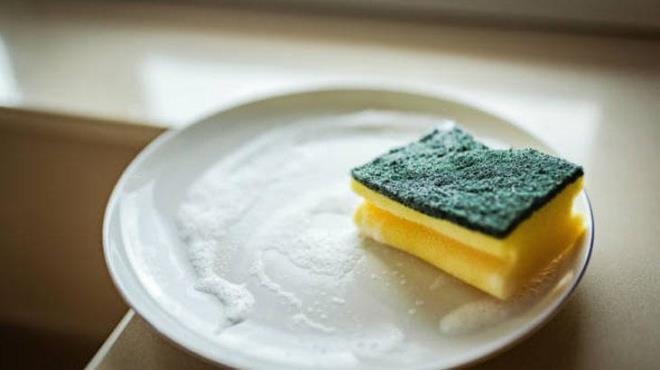 Sebze ve meyve ekmecelerinde ok uzun sre kalrlarsa, sngerler ykanmadklar takdirde tuttuklar suyla kflenmeye balayabilir.  Sngerlerinizi mikrodalgada bir dakika yksek ayarda tutarak dezenfekte edebilirsiniz. Ancak sngerin slak olduundan emin olun, nk kuruysa alev alabilir.