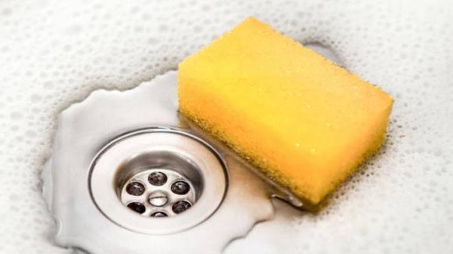 Bylece rn ekmecenize uzanp yumuak kabak veya limonlarla karlamak konusunda endielenmenize gerek kalmayacak. Ayrca, meyve ve sebzeleriniz daha uzun sre taze kalaca iin her hafta yeni rn satn almay erteleyebileceksiniz.