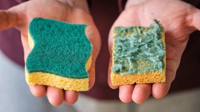 O da ekmecelerdeki nemi emmeye yardmc olan bir mutfak sngeridir. Meyve ve sebzeleriniz iin yer kaplayan hacimli kaplar kullanmak yerine, bulak sngerleri mkemmel bir alternatiftir.