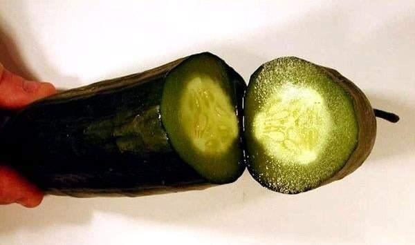 SALATALIK    Dondurulmamas gereken sebzelerden biri de salatalktr. Salatalk ierisinde su olduu iin genileyen bir yapya sahiptir.