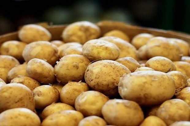 PATATES    Son zamanlarda soyulup kesilerek dondurucuda saklanan patateslerin direk btn eklinde dondurucuda saklanmas pek nerilmiyor. Btn eklinde dondurucuya atlan patatesler nemli ortamlar sevmedii iin zamanla buz kristalleri oluturarak lapa oluyor.