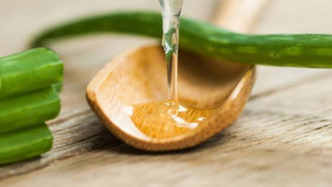 ALOE VERA<p>    Aloe vera, cilt hcrelerini yenileyen faydal bir bitkidir. zellikle de jelli ksm, cildiniz iin bir maske niteliine sahip. Aloe vera jelinden 1 ay ka kadar aln ve gne lekesinin dald blgeye srn. Lekeli blgede jeli 10 dakika kadar bekletin. Ardndan lk suyla cildinizi silin. Her gece ya da uyandktan sonra bu uygulamay tekrarlayn. Aloe vera jelinin yava ama etkili ekilde gne lekelerini yok ettiini grebilirsiniz.