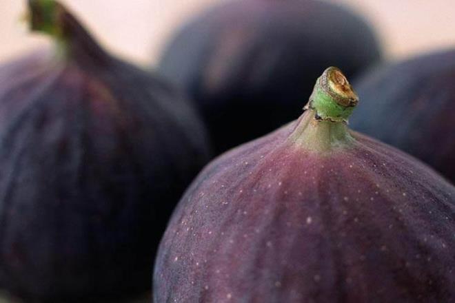 BURSA SYAHI    Dnyann dt bir yannda anlan Bursa'nn mehur siyah inciri "Bursa siyah" da tescilli rnler arasna girdi.