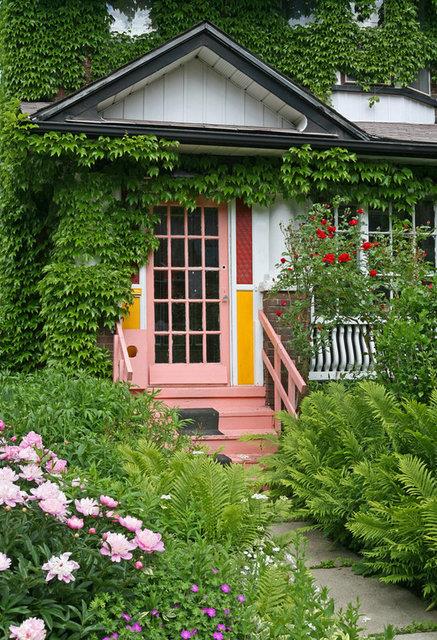 Kap nn ve bitkilerinizi taze tutun.