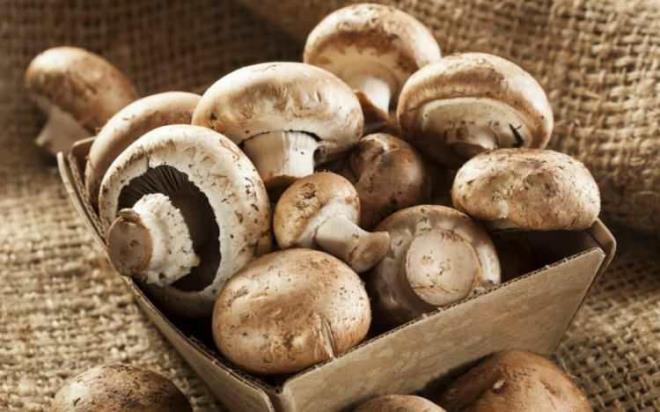 MANTAR    Mantar, ieriinde yer alan D vitamini sayesinde kas ve kemik geliimini destekleyerek kilo vermenizi salar.