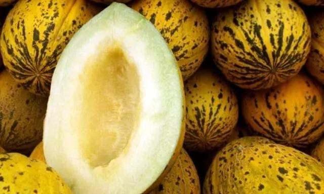 Kavun kabuklar, ierdikleri K vitamini sayesinde barsaklardaki flora dengesini korur. Bu sayede barsaklar daha salkl alr.