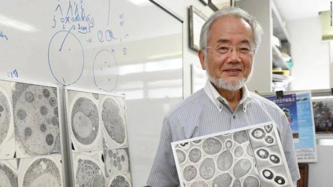 JAPON BLM NSANI KAVUN KABUKLARINI PE NEDEN ATMADIKLARINI AIKLADI!