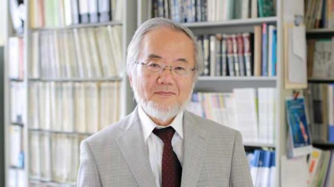Oru tutmayla ilgili yapt aratrma ve aklamalarla gndeme gelen Japon bilim insan Yoshinori Ohsumi'den heyecanlandran yeni bir aratrma konusu gndeme geldi.