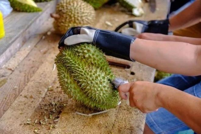 KEMK VE KASLARI GLENDRR    Kemik ve kas yapsn glendiren bir zellie sahip olan durian, vcudu glendirir ve hastalklara kar baklk kazanmanza yardmc olur.