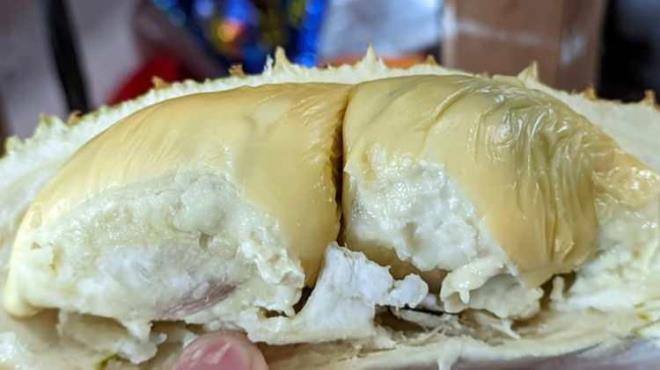 Halk arasnda "meyvelerin pahal kokarcas" olarak da bilinen Gneydou Asya?ya zg olan durian meyvesi Trkiye'de ok sk tketilmiyor. Ancak bu meyvenin vcuda faydalar saymakla bitmiyor.