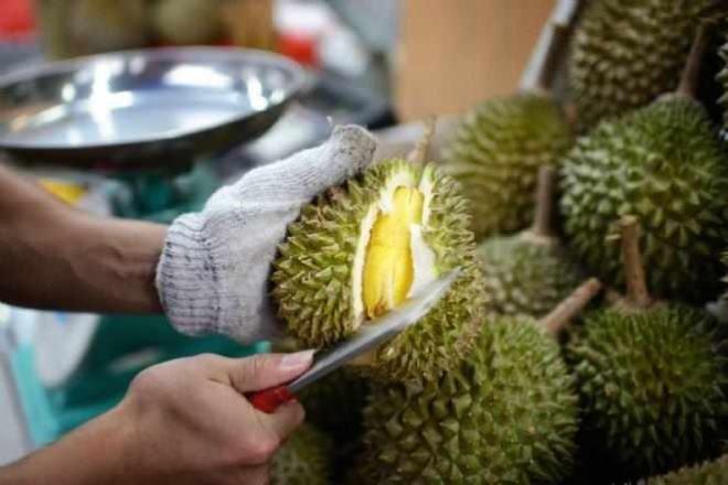Bir porsiyon durian meyvesi, vcudun ihtiyac olan folik asidin %20?sini karlayabilir. Folik asit, motor hareketlerini gelitirme konusunda etkili olduu iin, durian meyvesi tketimi bu adan da faydal olabilir.