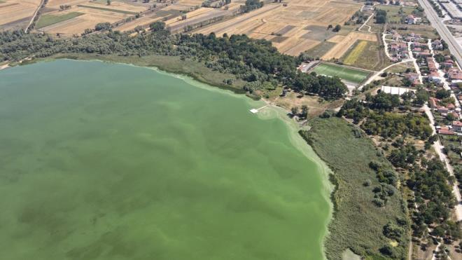 Alg patlamas ile yeile dnen gl yzeyi havadan drone grntlendi.