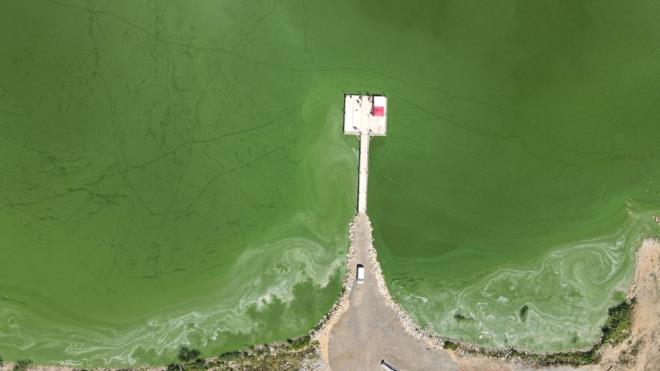 alar, zellikle ku gzlemi yapmak isteyen doaseverlerin Yeniaa Gl'n sk sk ziyaret ettiini anlatarak, "Glmz senede bir sefer renk deitirir. Doal bir eydir bu, u anda turkuaz ve yeil renklere brnd. Yenia Gl doann bize de ltfettii, Allah'n bize ltfettii gzel bir alan. Onun iin buray grmeyenleri davet ediyorum. Gelsinler, buradaki gzellikleri, temiz havay, gzel orman havasn, glmzn havasn solusunlar diyorum." dedi.