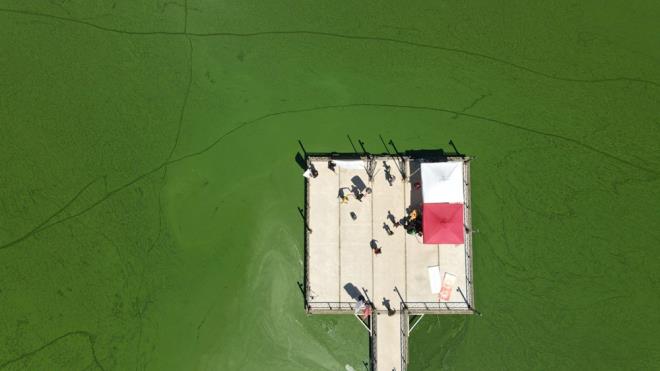 Mevsimsel scakla bal gln dip ksmnda yeteri kadar oksijen bulunmamas nedeniyle buradaki alg tabakasnn su yzeyine kmasyla olutuu belirtilen yeil rengi ile Yeniaa Gl farkl bir grntye kavutu.