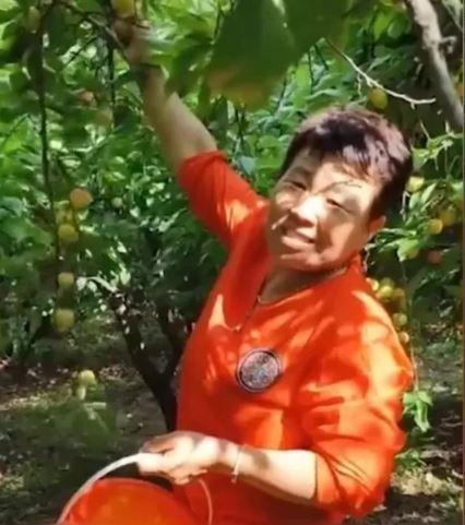 Yang, ar almann sonucunda hastalanp salk sorunlar yaaynca hayatn yavalatmann yolunu aramaya balad.