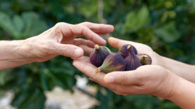 Zeytinyan azna kadar doldurduktan sonra incir kavanozunun azn kapatn. Bu kr her sabah a karnna tketmeye balayn. 1-2 para incir yedikten sonra zerine 1 tatl ka daha zeytinya tketebilirsiniz.