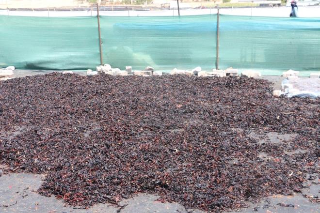 Salkl bir ekilde kilo vermek iin kiiye zel bir diyet programn uygulamanz gerekir. Diyet ve egzersiz sayesinde fazla kilolarndan kurtulabilirsiniz.