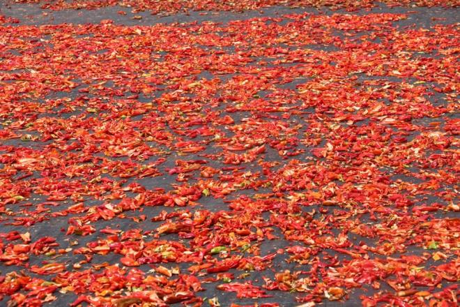 Bu kiilerin beslenme alkanlklar tam 7 yl boyunca detaylca incelendi. Yaplan aratrma sonucunda Her gn veya dzenli olarak baharatl zellikle de acl yiyecekler tketenlerin haftada bir kez baharatl yiyecekler yiyenlere gre lm risklerinin yzde 14 azald belirlendi.